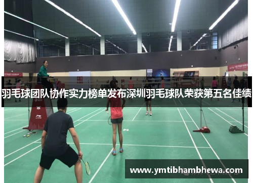 羽毛球团队协作实力榜单发布深圳羽毛球队荣获第五名佳绩