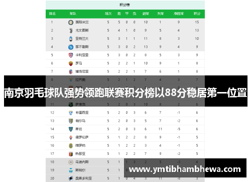 南京羽毛球队强势领跑联赛积分榜以88分稳居第一位置