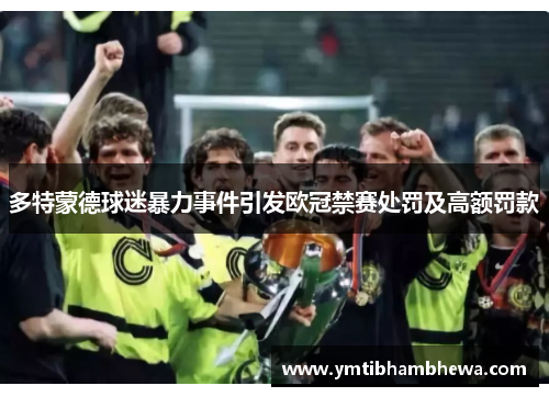 多特蒙德球迷暴力事件引发欧冠禁赛处罚及高额罚款